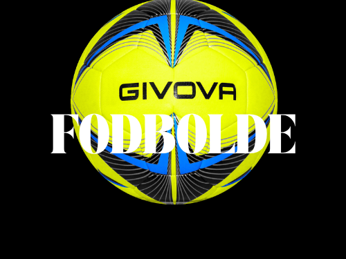 Fodbolde og basketbolde